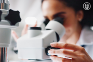 Como é feita a escolha do melhor embrião para transferência